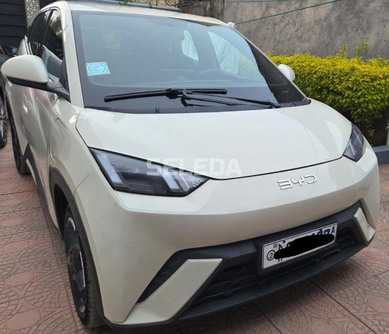 BYD-Seagull-2025/3 for sell