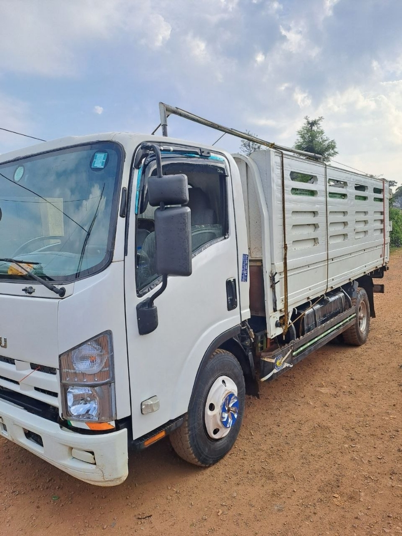 Isuzu Truck 2021 Model